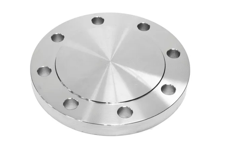 Stainless Steel Blind Flanges